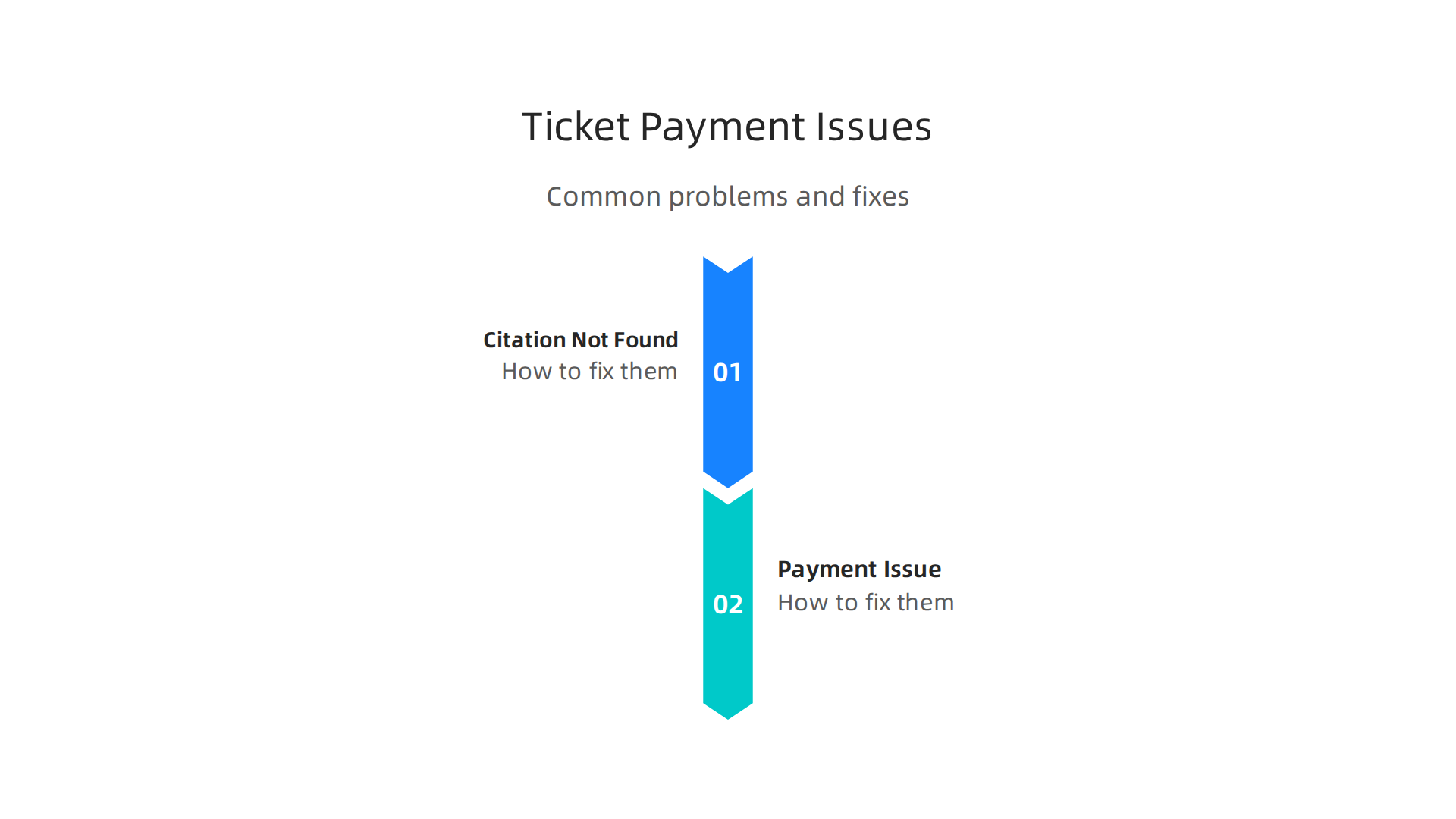 An infographic detailing frequent issues encountered during ticket payments, such as 'citation not found' or 'payment did not go through,' along with practical solutions.